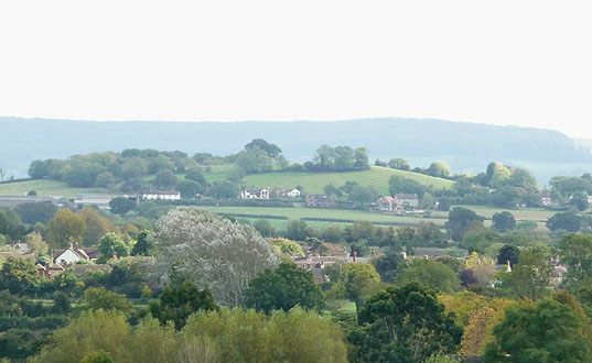 Image John Fryer and Phoebe (nee Taysum) lived in Overton, Arlingham,<br>viewed here looking towards Barrow Hill.