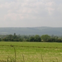 View towards the Forest of Dean from Overton Lane, Arlingham